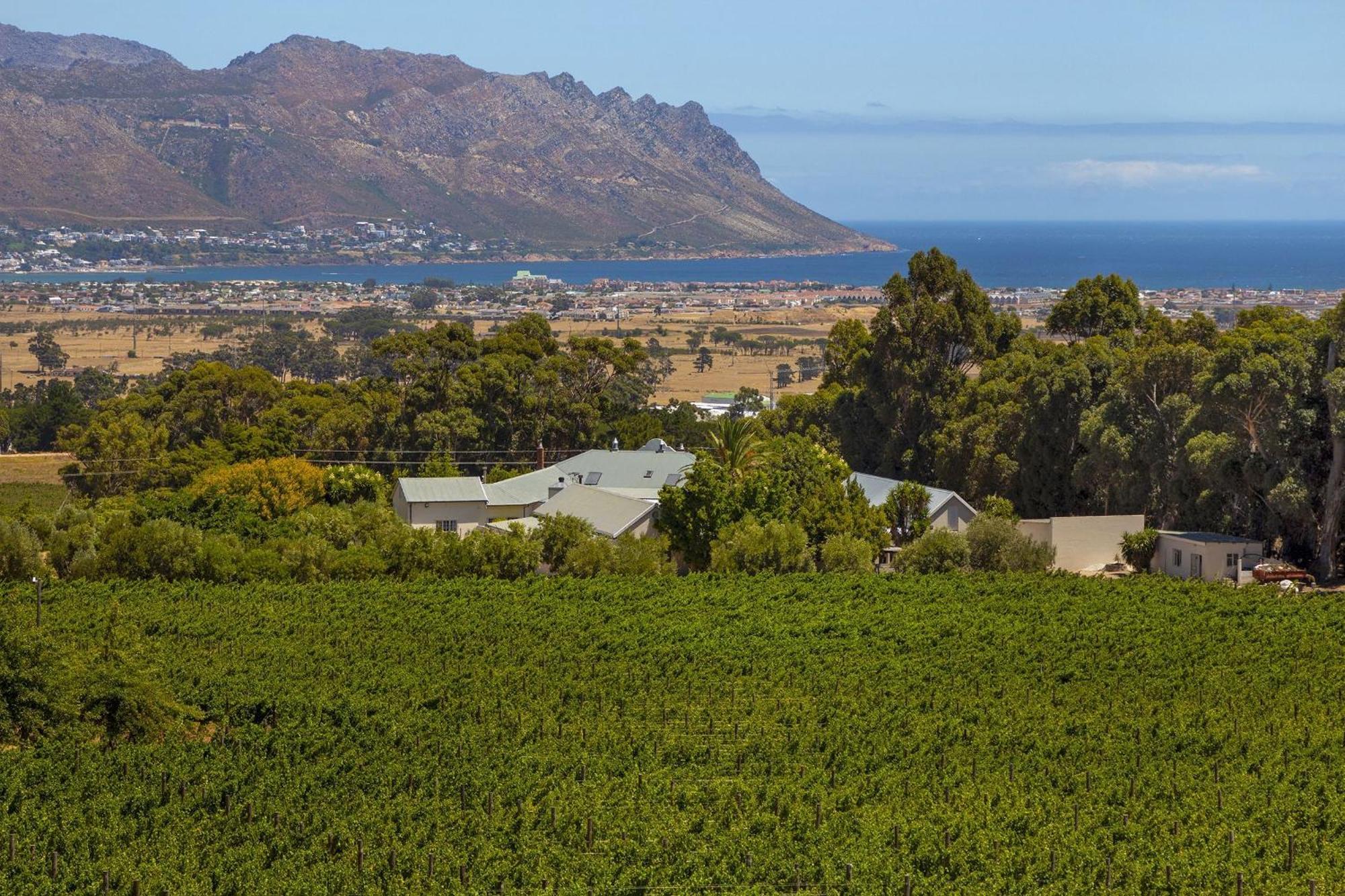 Villa 13 Vines Somerset West Exterior foto