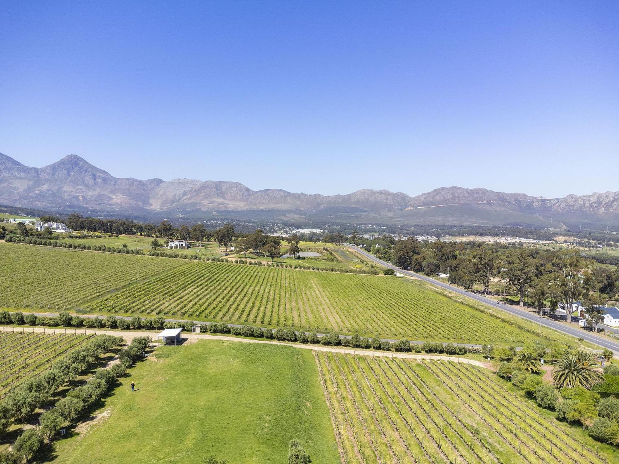 Villa 13 Vines Somerset West Exterior foto