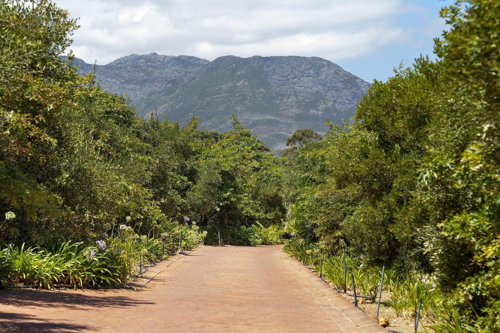 Villa 13 Vines Somerset West Exterior foto