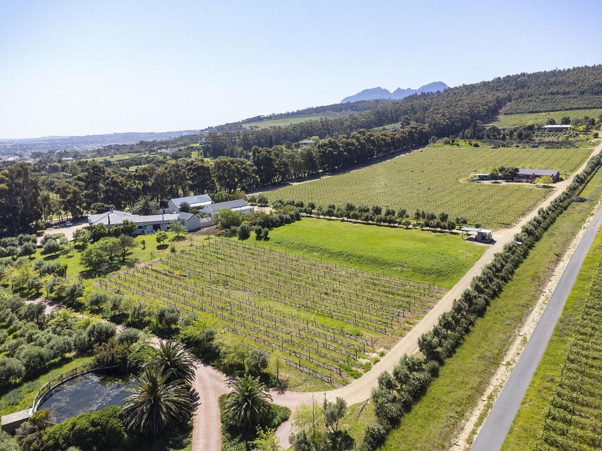 Villa 13 Vines Somerset West Exterior foto