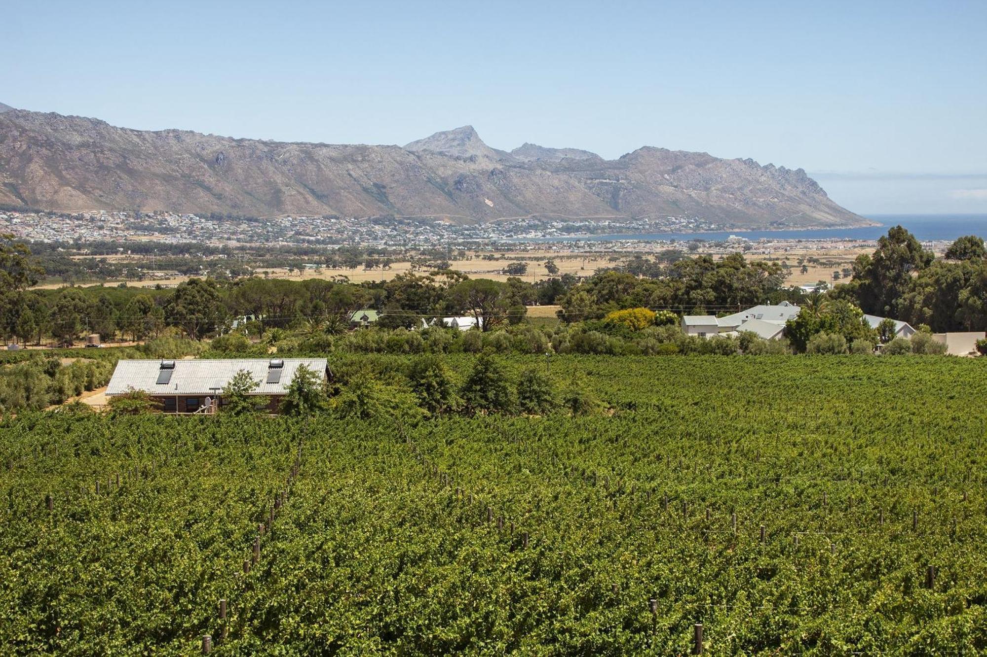 Villa 13 Vines Somerset West Exterior foto